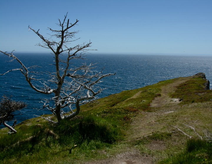 skerwink-trail-27-of-31
