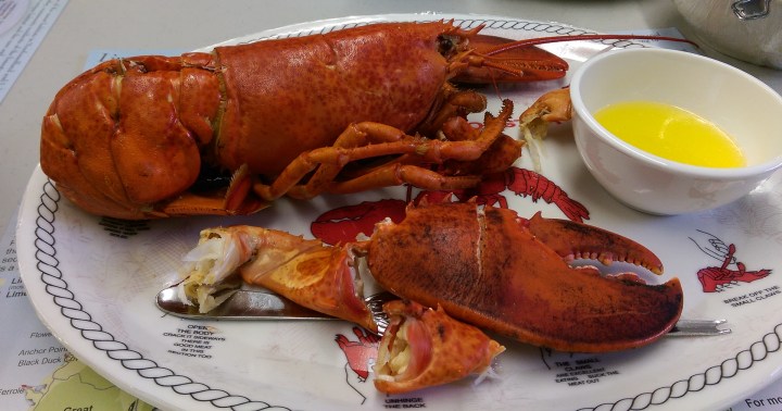 newfoundland-fjords-0889