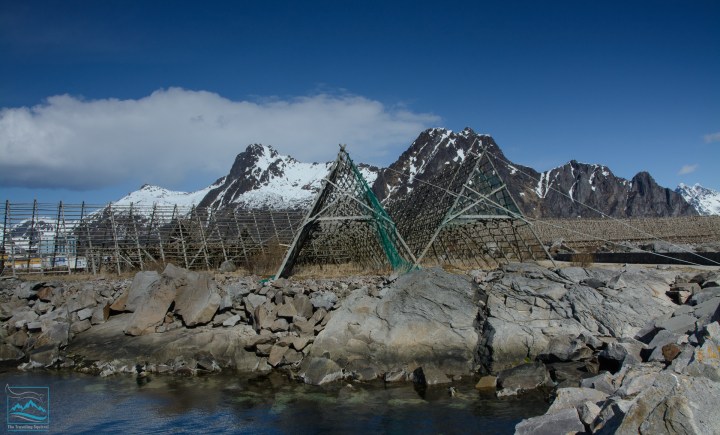Norway 2017 drying fish-119