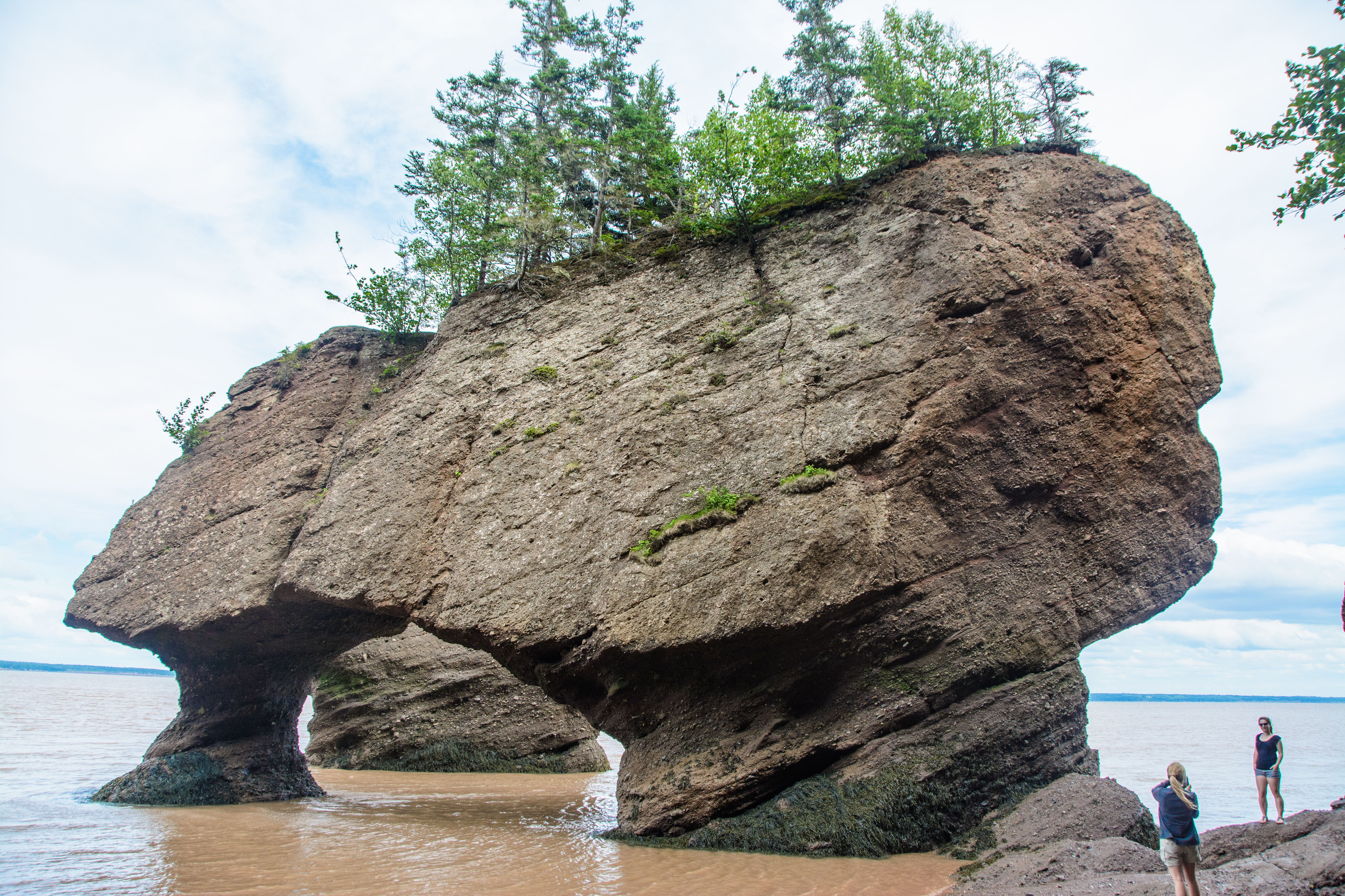 bay-of-fundy-rock